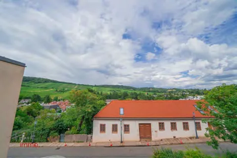 Neustift am Walde 49 – Blick auf die Weingärten